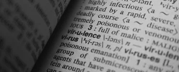 words in dictionary